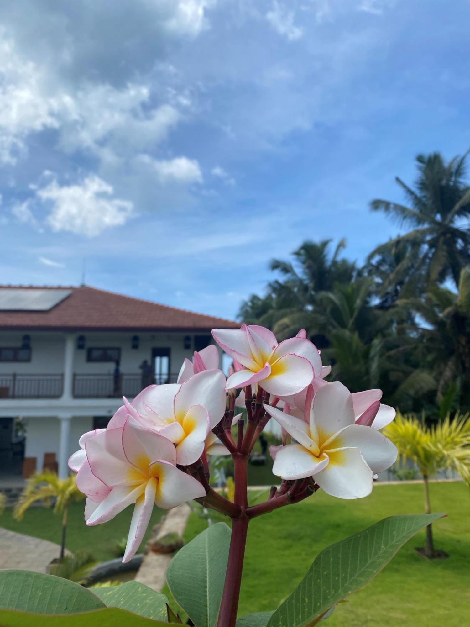 Sea Star Boutique Hotel Hikkaduwa Luaran gambar